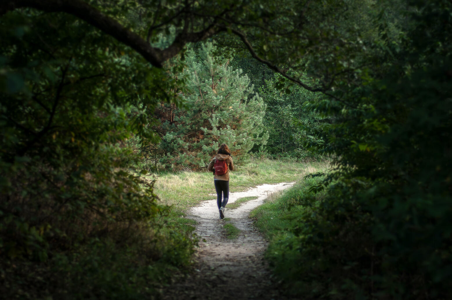 Passeggiate glamping umbria Passeggiate glamping umbria