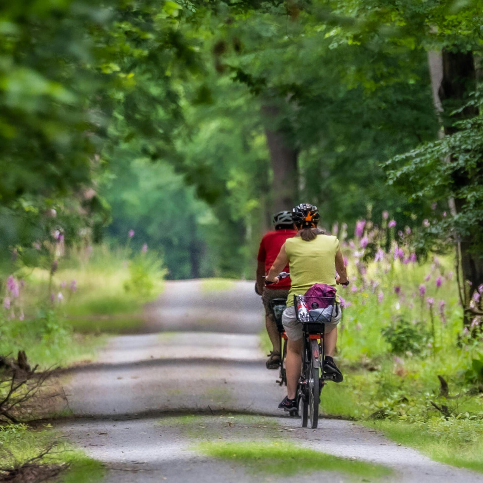 Passeggiata bici in umbria Passeggiata bici elettrica umbria